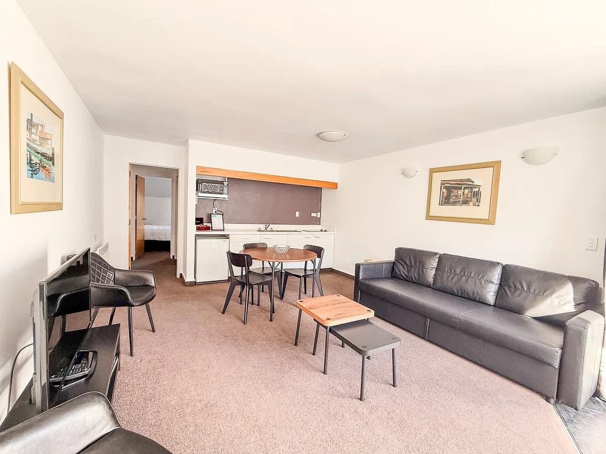 One Bedroom Mountain View Apartment - photo 2