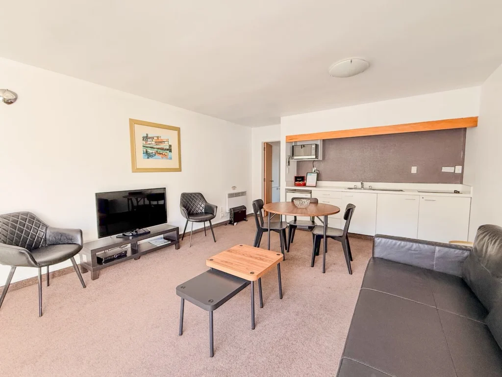 One Bedroom Mountain View Apartment - photo 4