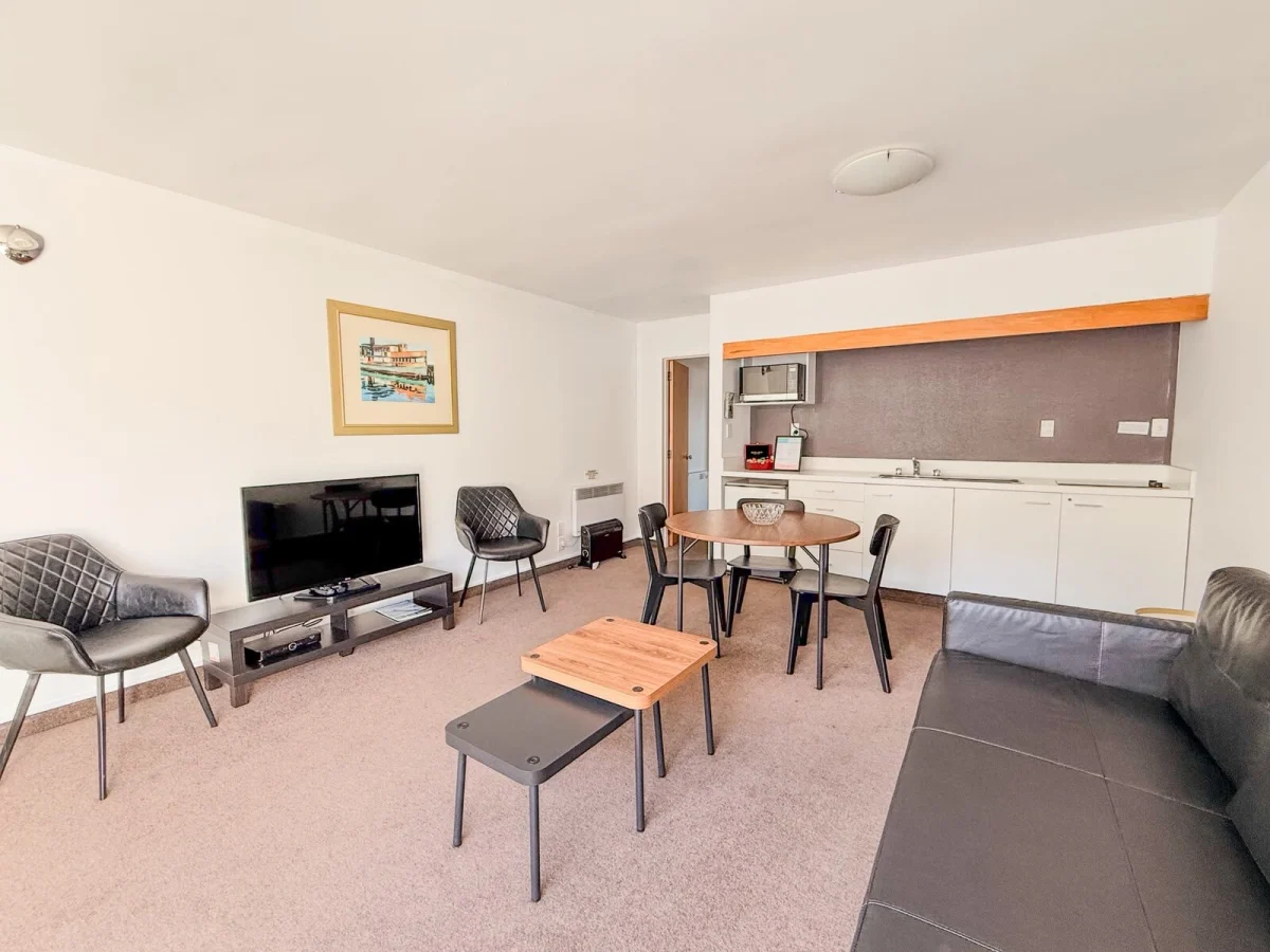 One Bedroom Mountain View Apartment - photo 4