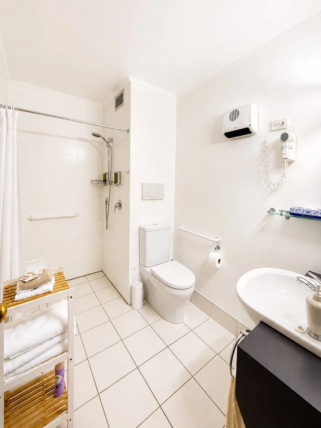One Bedroom Apartment - photo 5