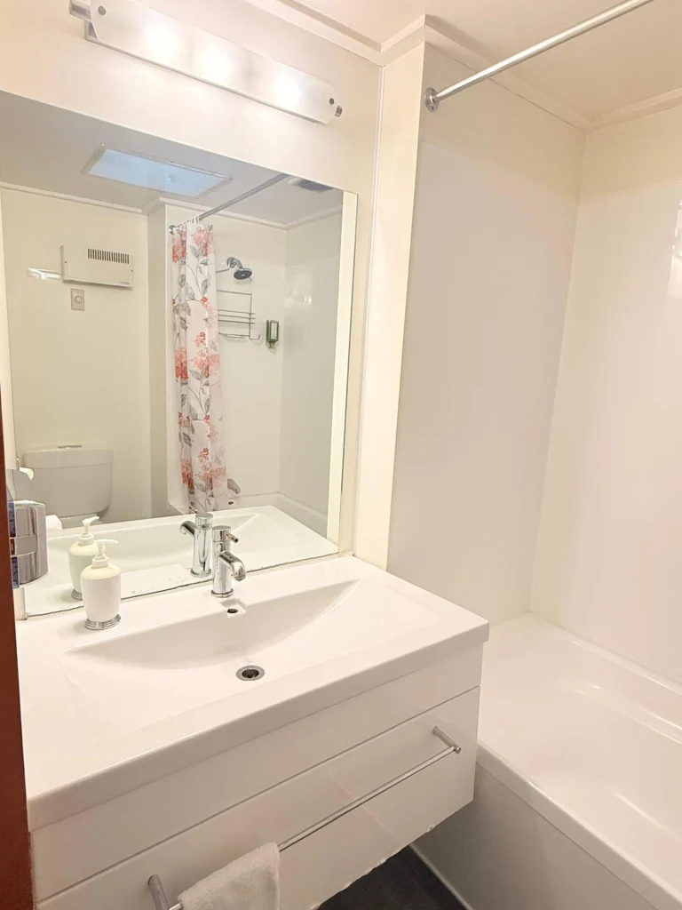Two Bedroom Mountain View Apartment - photo 7